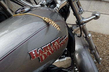 Avatar de l’utilisateur